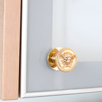 Versace Classic Cabinet Knobs in Gold Signature Medusa Details