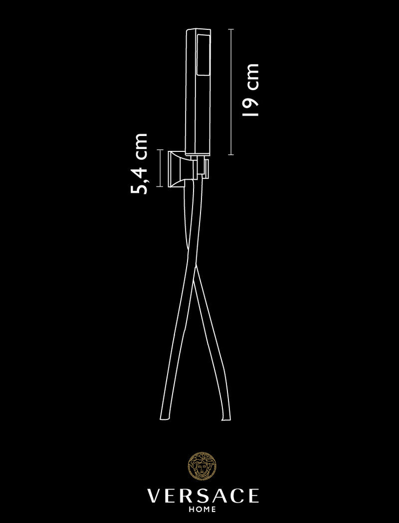 Versace Superbe Hand Shower in Gold Finish
